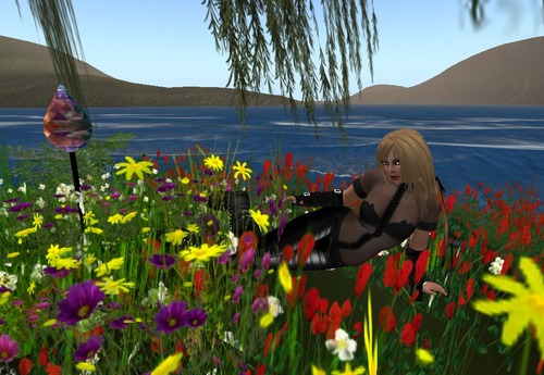 Web 51093cdf7173991265000001