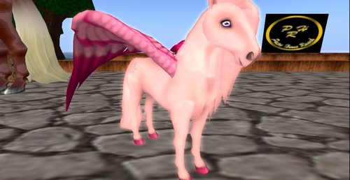 Web 54514b2ff8a1ec664a000001