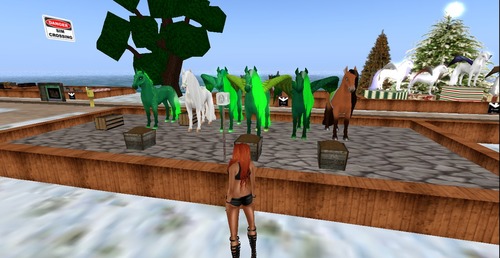 Web 54917865128cc96a5f000001