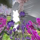 Thumb 526cd475528a9626a1000001