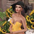 Thumb 5be02be273ed170431000001