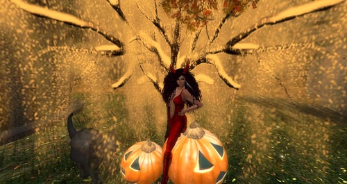 Web 5270bdf1a8d9086ceb000001