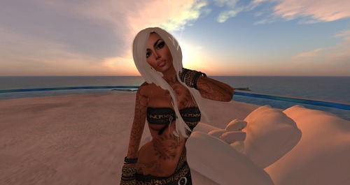 Web 527211aef6bff12dda000001