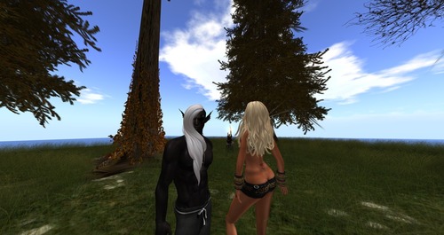 Web 5272c48037a05e0a13000001