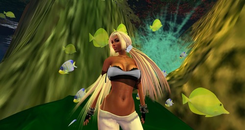 Web 52737f3bc0e784660e000001