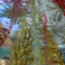 Thumb 532f50248da5727b79000001