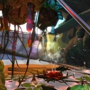 Thumb 532f5574128cc9046c000001