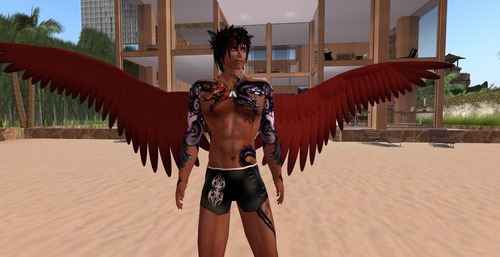 Web 5129c3a10e93a15a7a000001