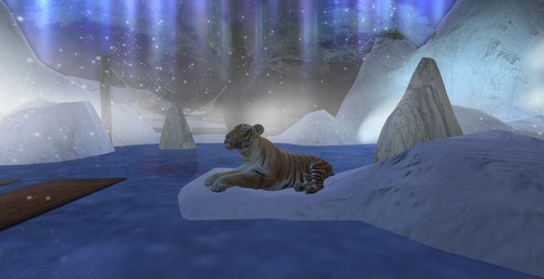 Web 51304e6ce1c0a977e3000001