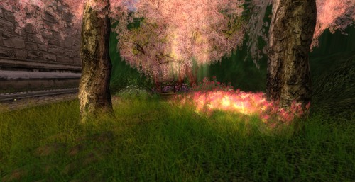 Web 534500518da5725dd1000001