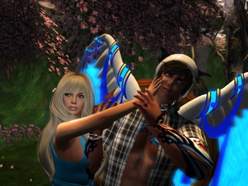 Web 54f013688da572662a000001