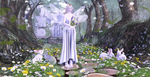 Web 5985b173d9859c1fa0000001