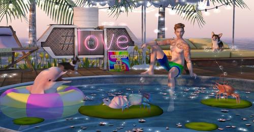 Web 5b25b77173ed1708a8000001