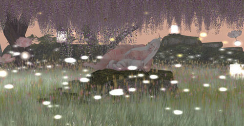 Web 643f0a532b47cb7cc580c7c6