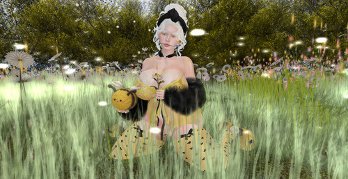 Web 644d73fafb192020a607d38c