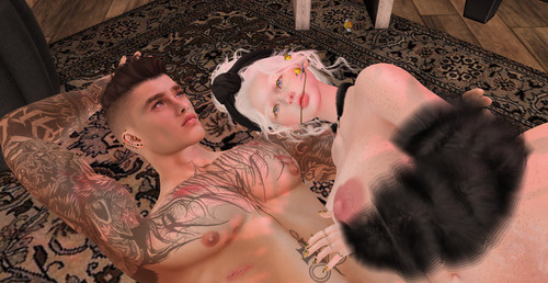 Web 644dab217ae76d4e9118c21b