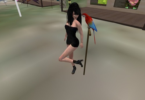 Web 50ef069adc60ed595e000001