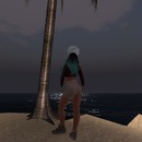 Thumb 5687de97f8a1ec73a3000001