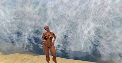 Web 517b0346e423cd559f000001