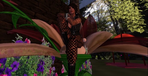 Web 51ce53da5cb98143d0000001