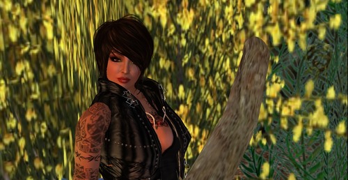 Web 51ce5680a0935c0e0b000001