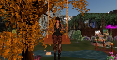 Web 51ce72a9a0935c5e8e000001