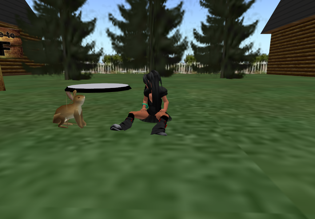 Original 53b5c723a73e2135c3000001