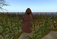 Small 53d3d0ac8da57266e5000001