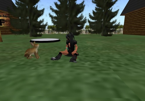 Web 53b5c723a73e2135c3000001