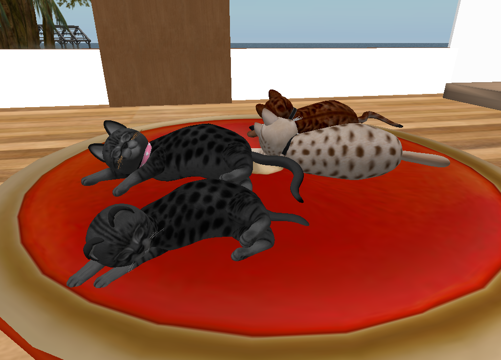 Original 5829d24df8a1ec61de000001