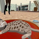 Thumb 576d9eace85cda2324000001