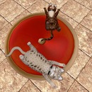 Thumb 57b85ad0f8a1ec0a2b000001