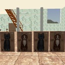 Thumb 57c54506e85cda2c07000001