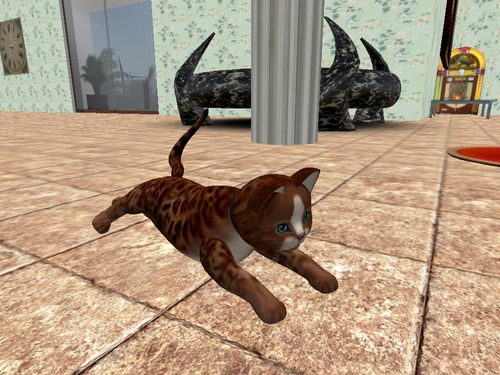 Web 5791e1c2b015405a9e000001