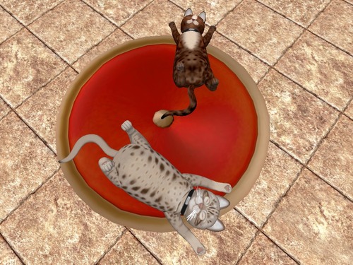 Web 57b85ad0f8a1ec0a2b000001