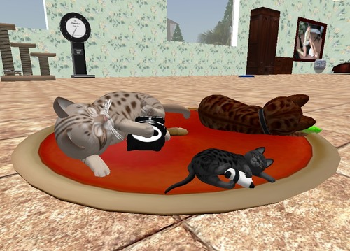 Web 57ef92a5b713f70dba000001