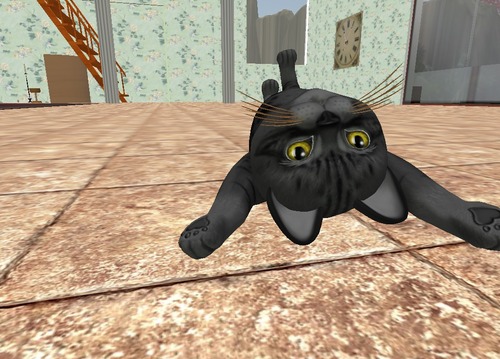 Web 57f692f4b713f72e26000001