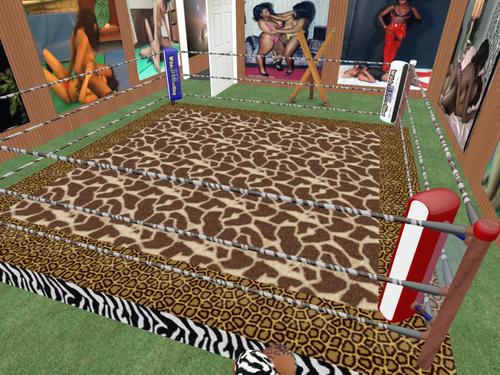 Web 5cdef46373ed173e52000001