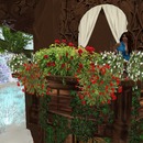 Thumb 54af2258f8a1ec331d000001