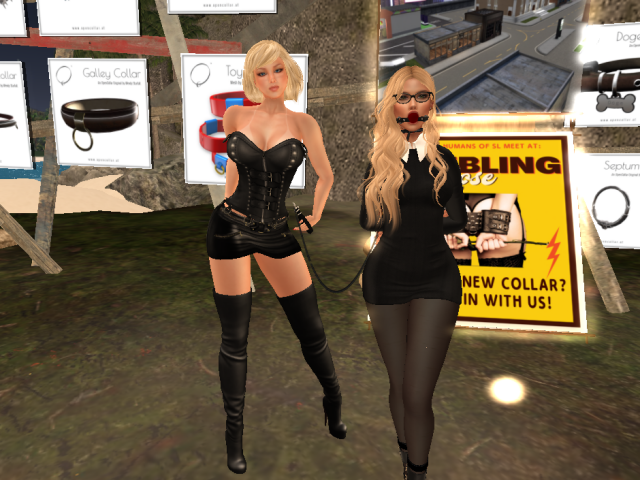 Original 5c684e0c73ed17203c000001