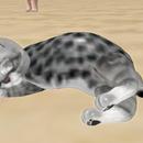 Thumb 5d65d12cd774f81072000001