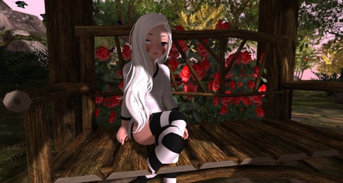 Web 56d56693b713f776d2000001