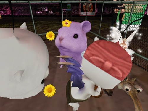 Web 56ec93afb713f75458000001