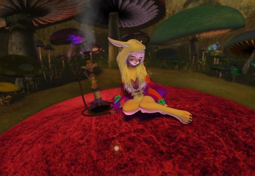 Web 58fa7f2cd9859c0670000001