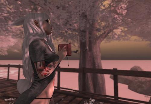 Web 58fb0cc073ed171585000001