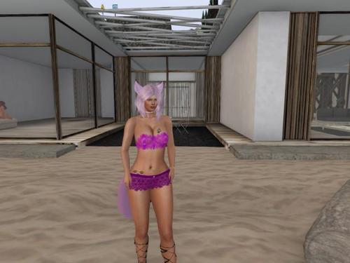 Web 607ff891352a564684894945