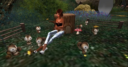 Web 53da61b8f8a1ec37c2000001