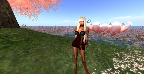 Web 550df016a73e21604e000001