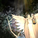 Thumb 52e227c1a73e21289c000001