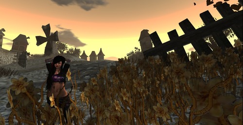 Web 531ed9b0a73e215a7a000001